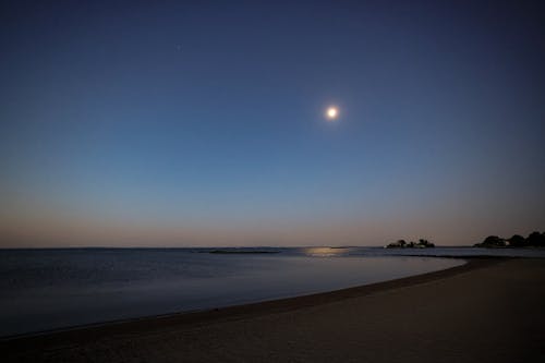 Fotobanka s bezplatnými fotkami na tému breh, mesačný svit, mesiac