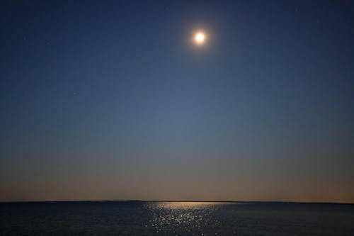 달, 달빛, 새벽의 무료 스톡 사진