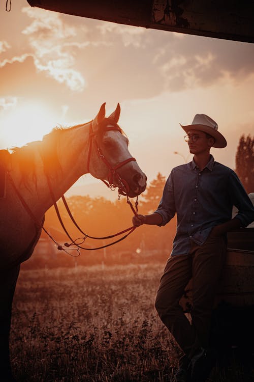 Gratis stockfoto met amerikaanse cowboy, arbeider op een boerderij, boerderij