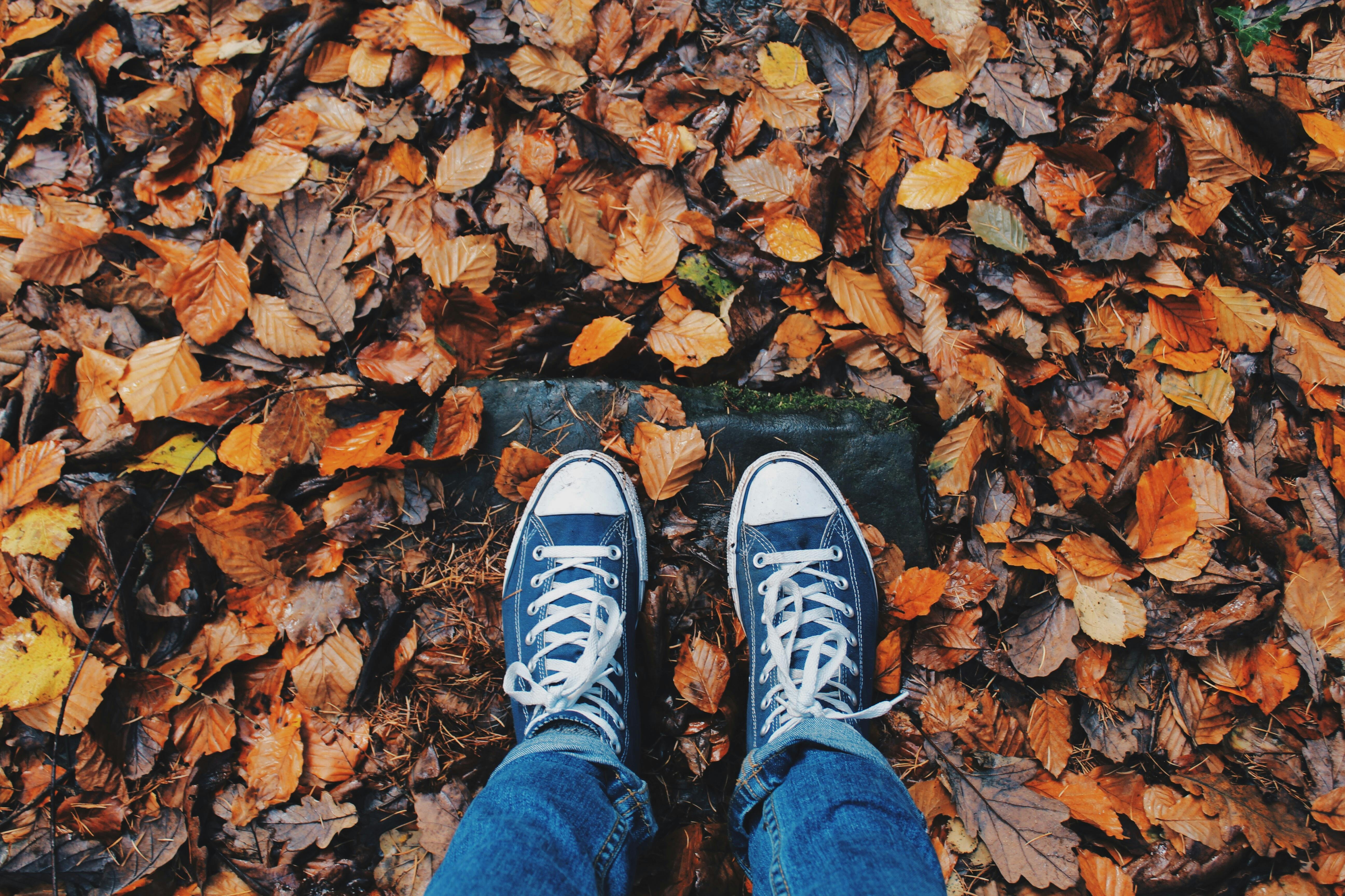 zapatos de otoño