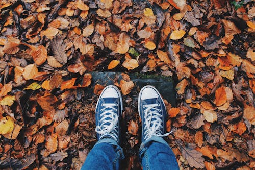 Person in Blue Jeans and Pair of Blue Sneakers