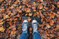 一双运动鞋立在公园里色彩缤纷的秋叶上，展现着秋天的美丽