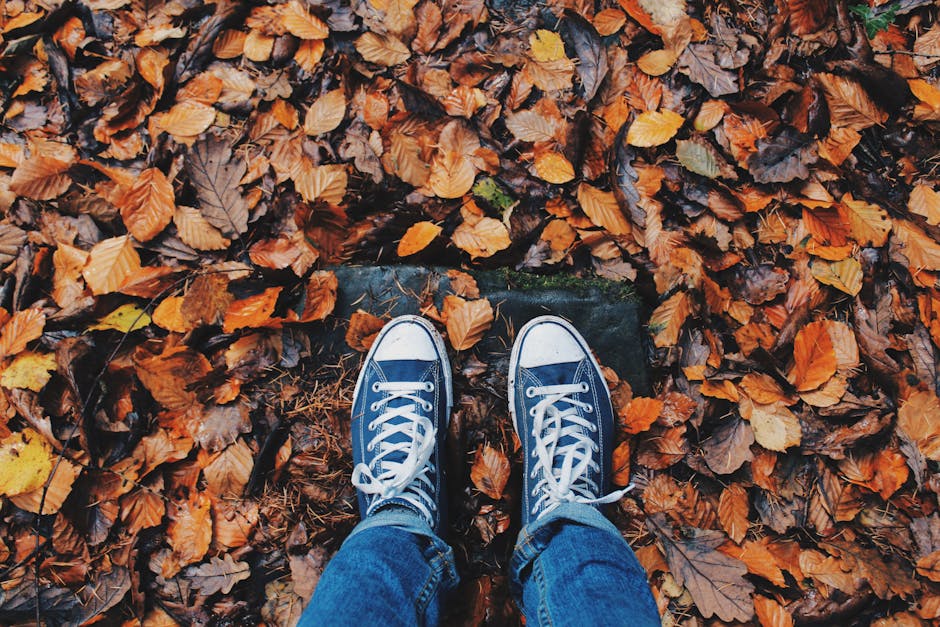 autumn, close-up, color