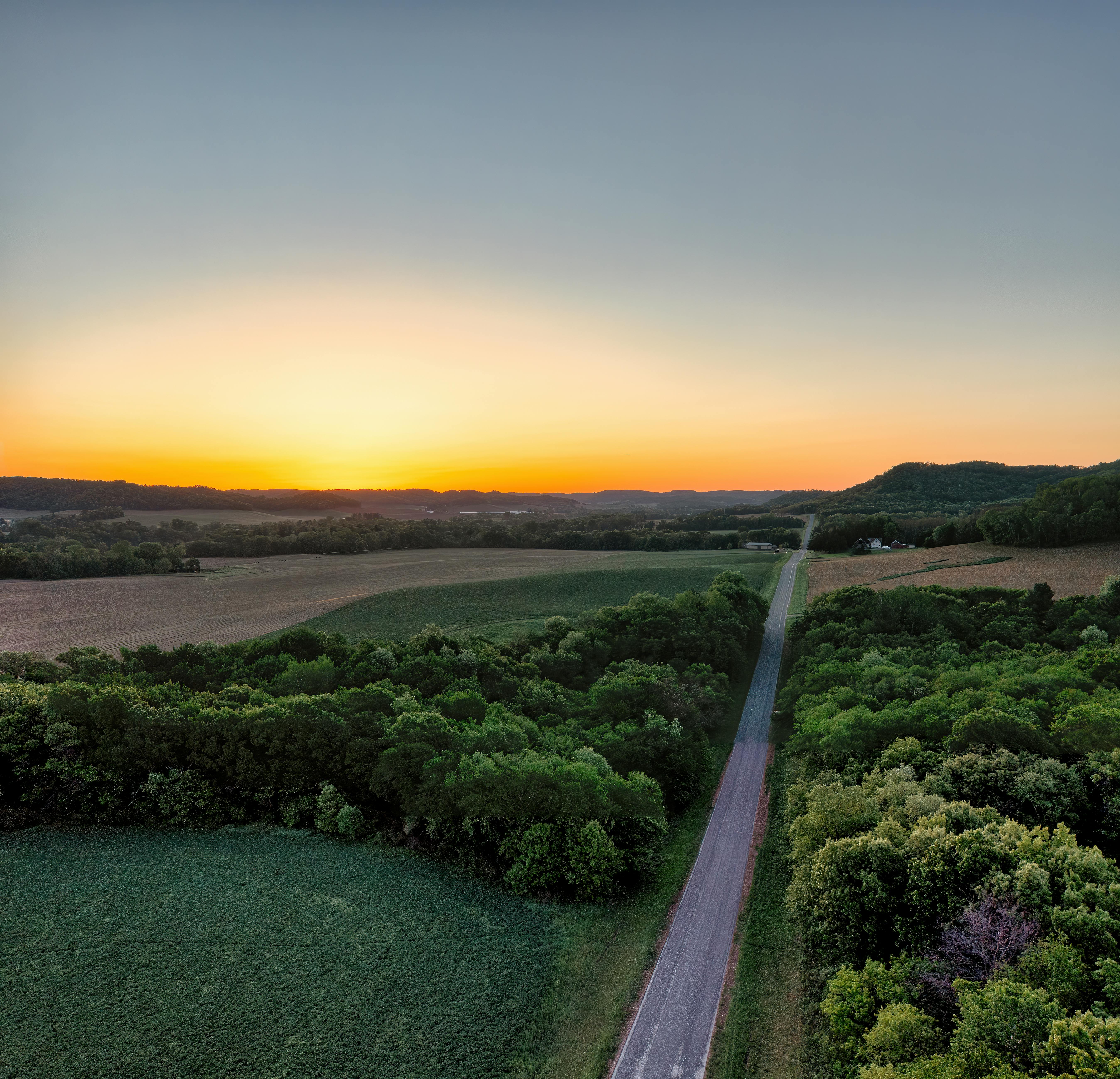 pexels-photo-26731459.jpeg?