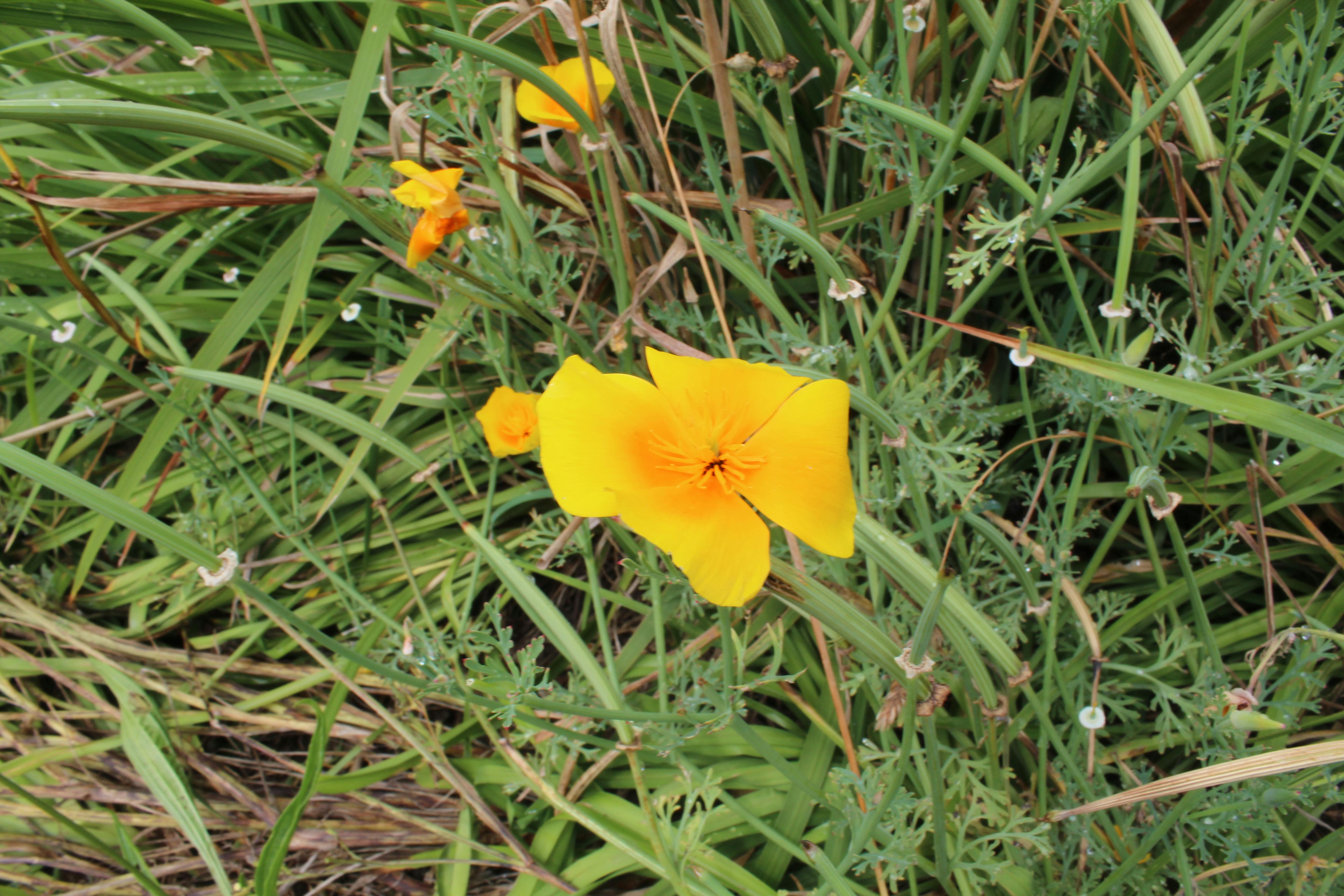 Hotel Intercontinental