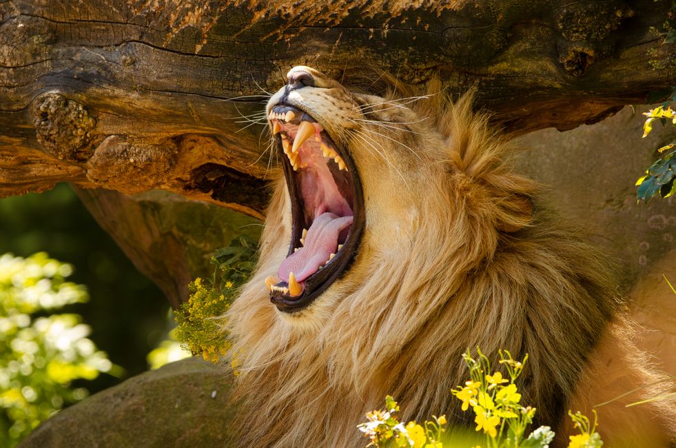 7 Gen Alpha Slang Terms That Will SHOCK Your Boss in 2026!