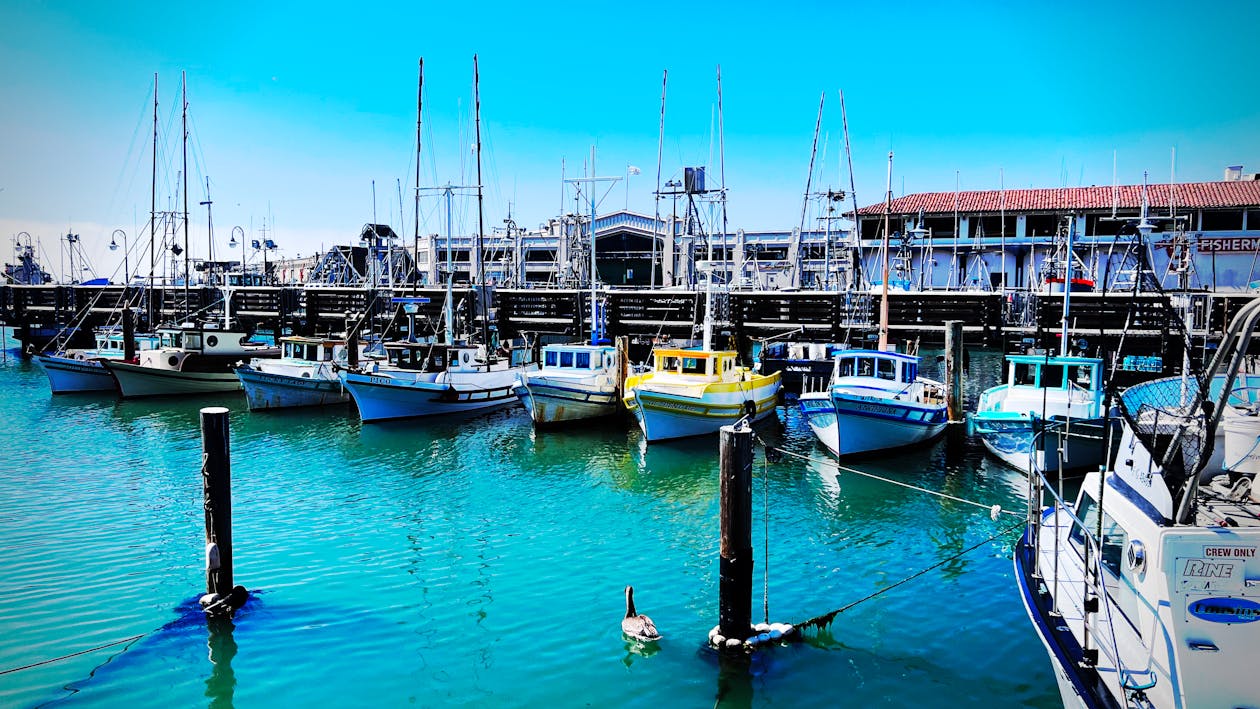 Free stock photo of boats