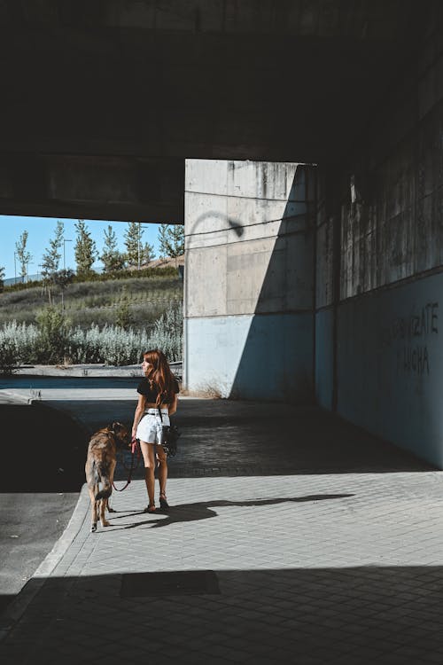 açık hava, adam, Aşk içeren Ücretsiz stok fotoğraf