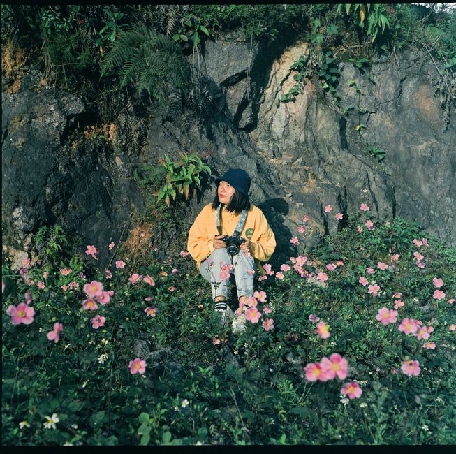 Asian woman in yellow jacket sits among pink flowers with camera outdoors.