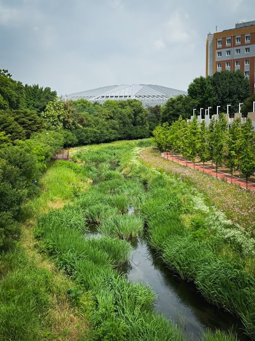Fotos de stock gratuitas de ciudad, río, Seúl