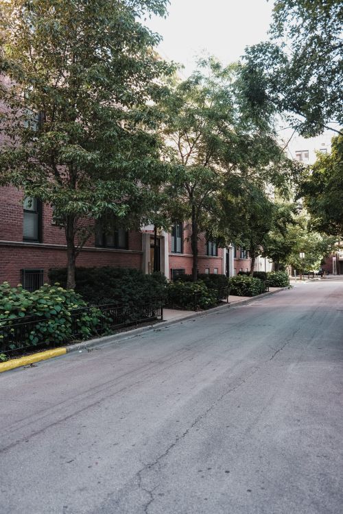 Empty Street with Trees and Residential Buildings in Town · Free Stock ...