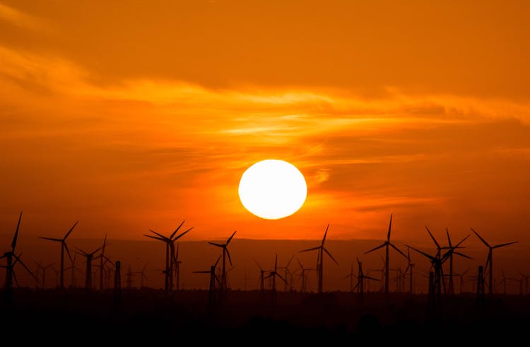 Wind Turbines During Golden Hour