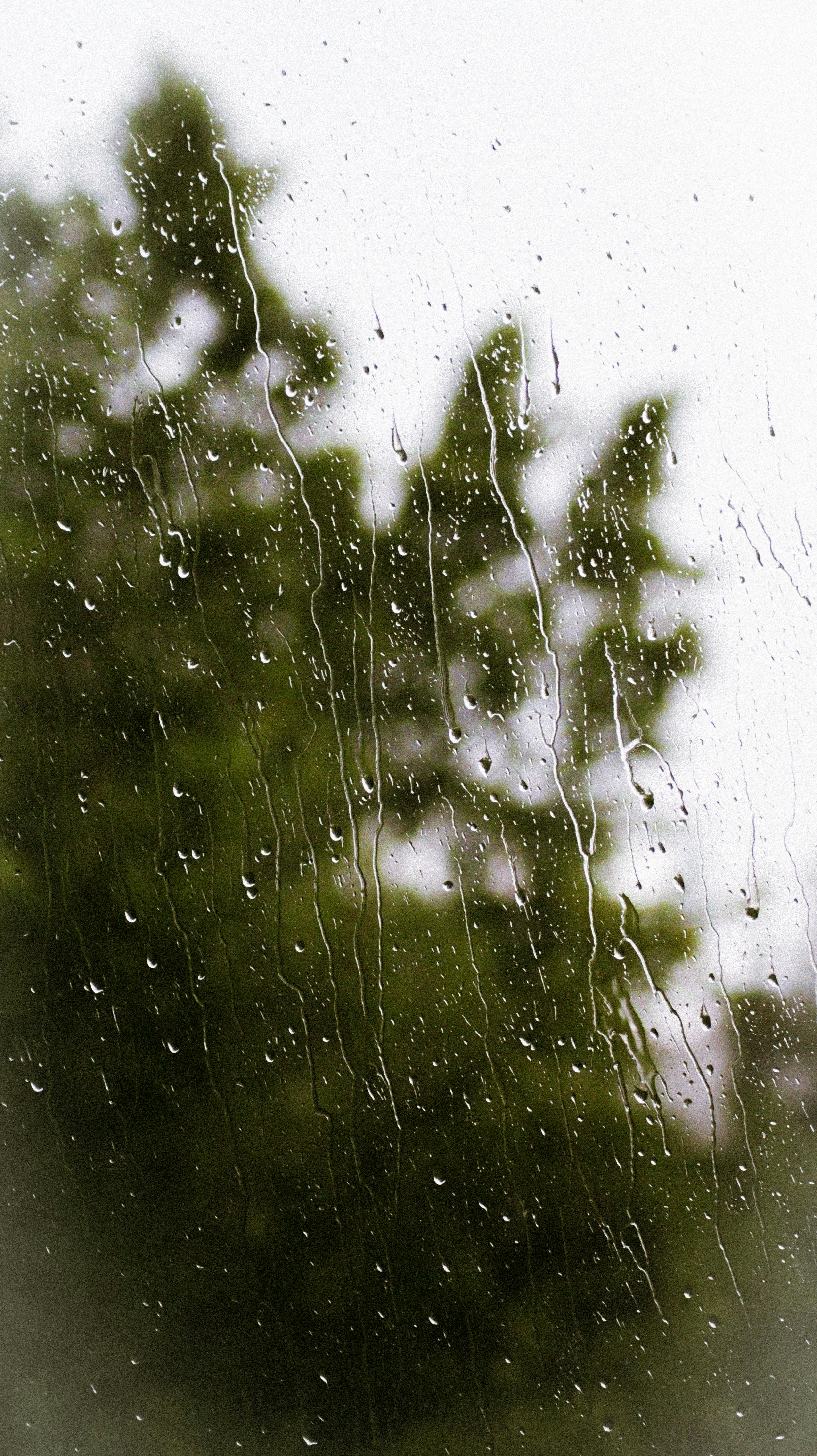 A rainy day view with raindrops on a window, blurring the green trees outside.