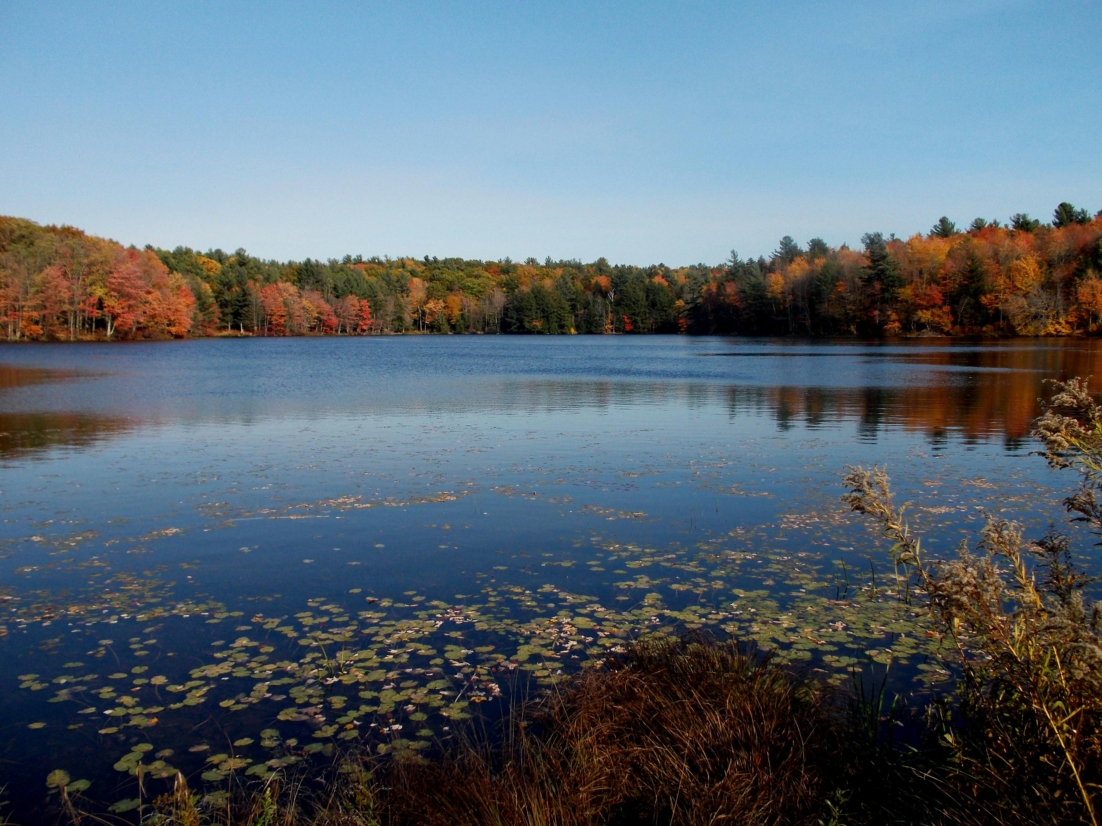 Winns Pond waterfall