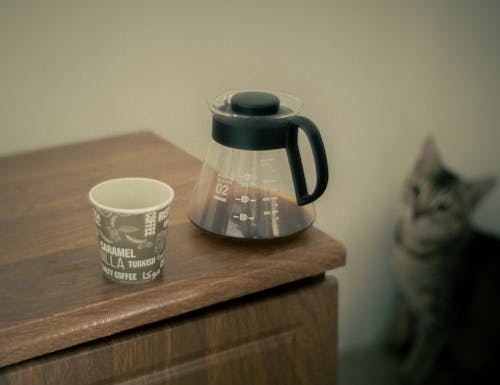 Gratis lagerfoto af arabica kaffe, brygget kaffe, filter kaffe
