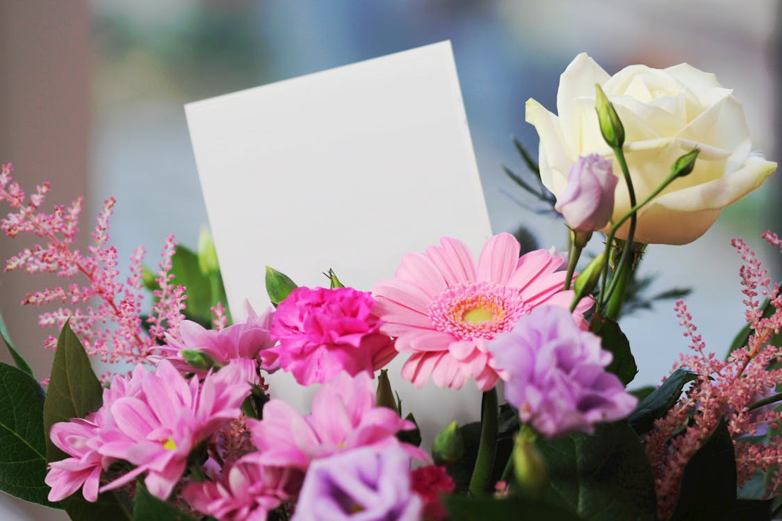 免费 白玫瑰和粉红色雏菊 素材图片