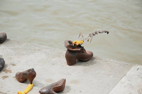 Free A shoe on the ground next to a body of water Stock Photo