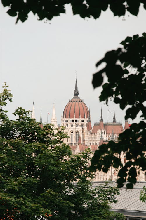 A view of the budapest parliament building from a tree