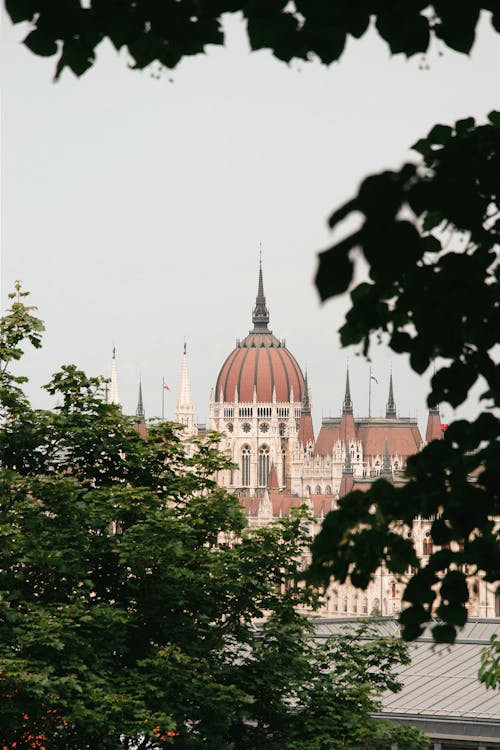 Free A view of the budapest parliament building from a tree Stock Photo