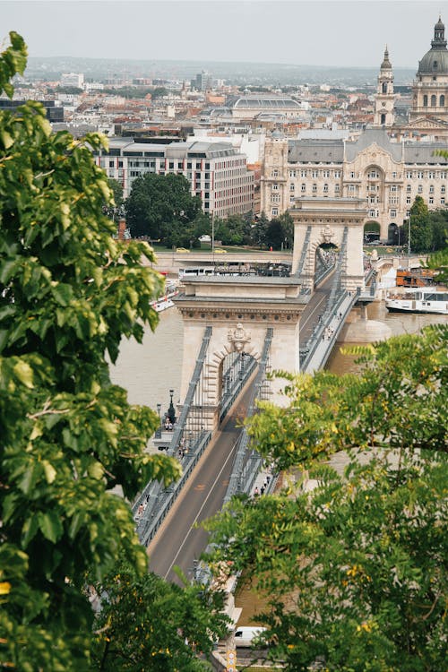 Free The chain bridge in budapest, hungary Stock Photo