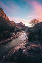 Photo of River Near Trees