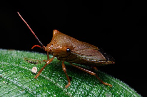 Foto profissional grátis de amante da natureza, beautiful nature, erro