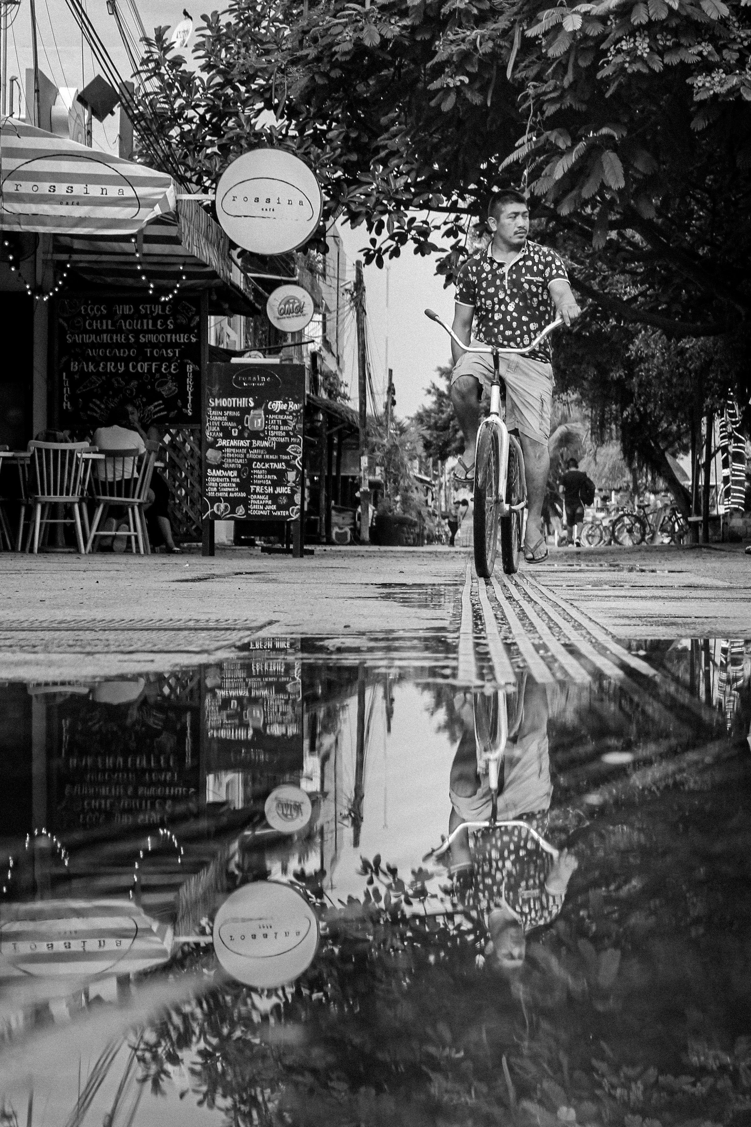 Fotomural Fotolia