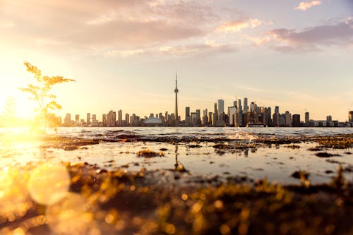 Free stock photo of beautiful sunset, flare, lens flare