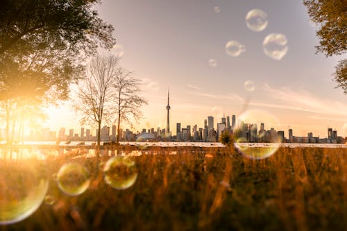 Free stock photo of bubbles, skyline, soap bubble