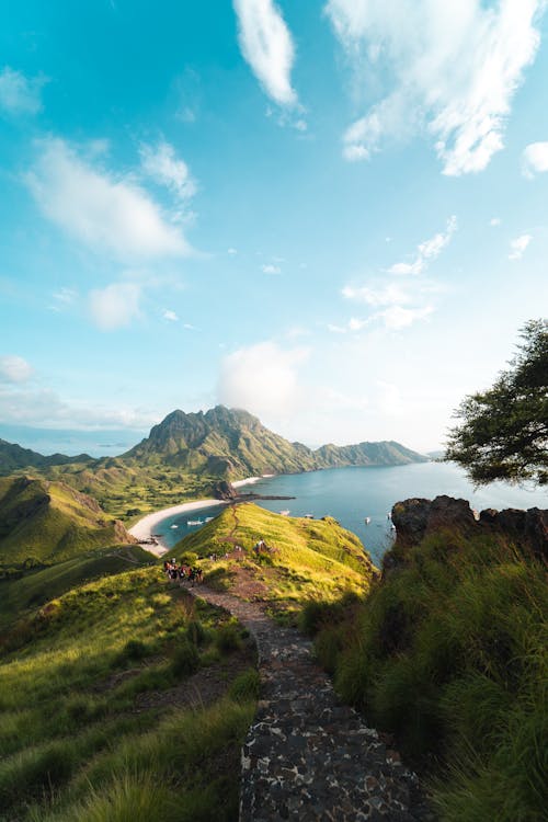 Montaña Verde Y Marrón