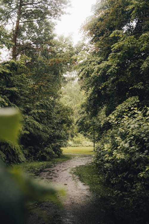 Fotobanka s bezplatnými fotkami na tému cesta, cestovať, denné svetlo