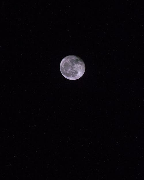 Foto profissional grátis de cavaleiro, escuro, fotografia da lua