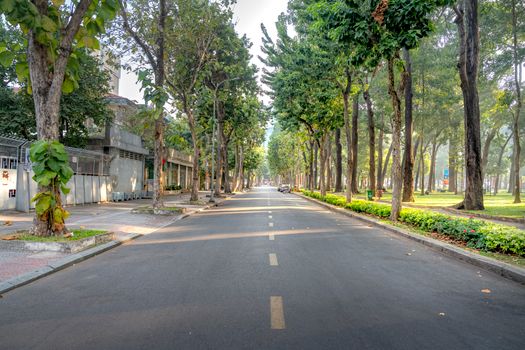 tree lined street