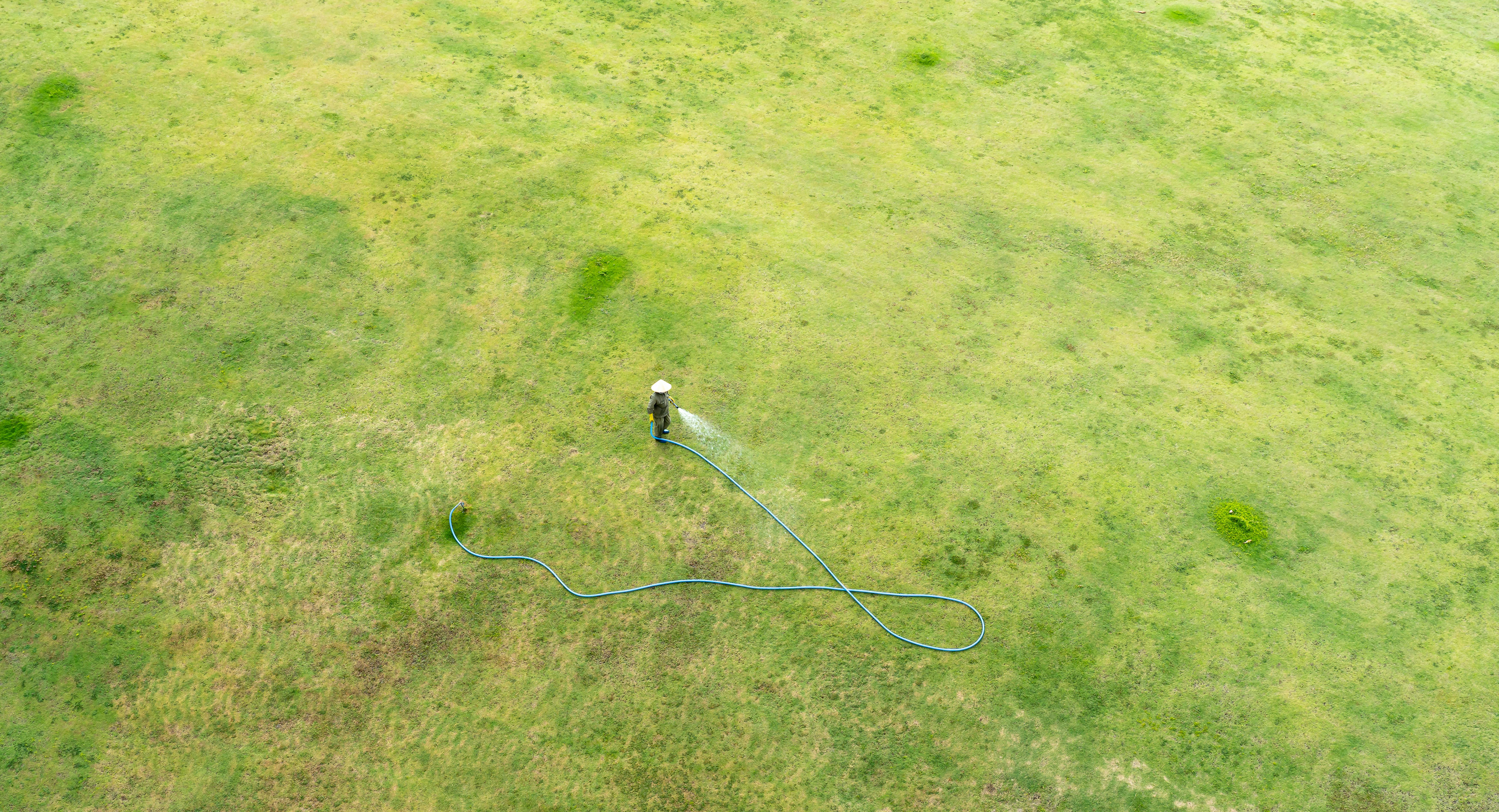 Aerial shot of a farmer in a conical hat watering a large green field using a hose.