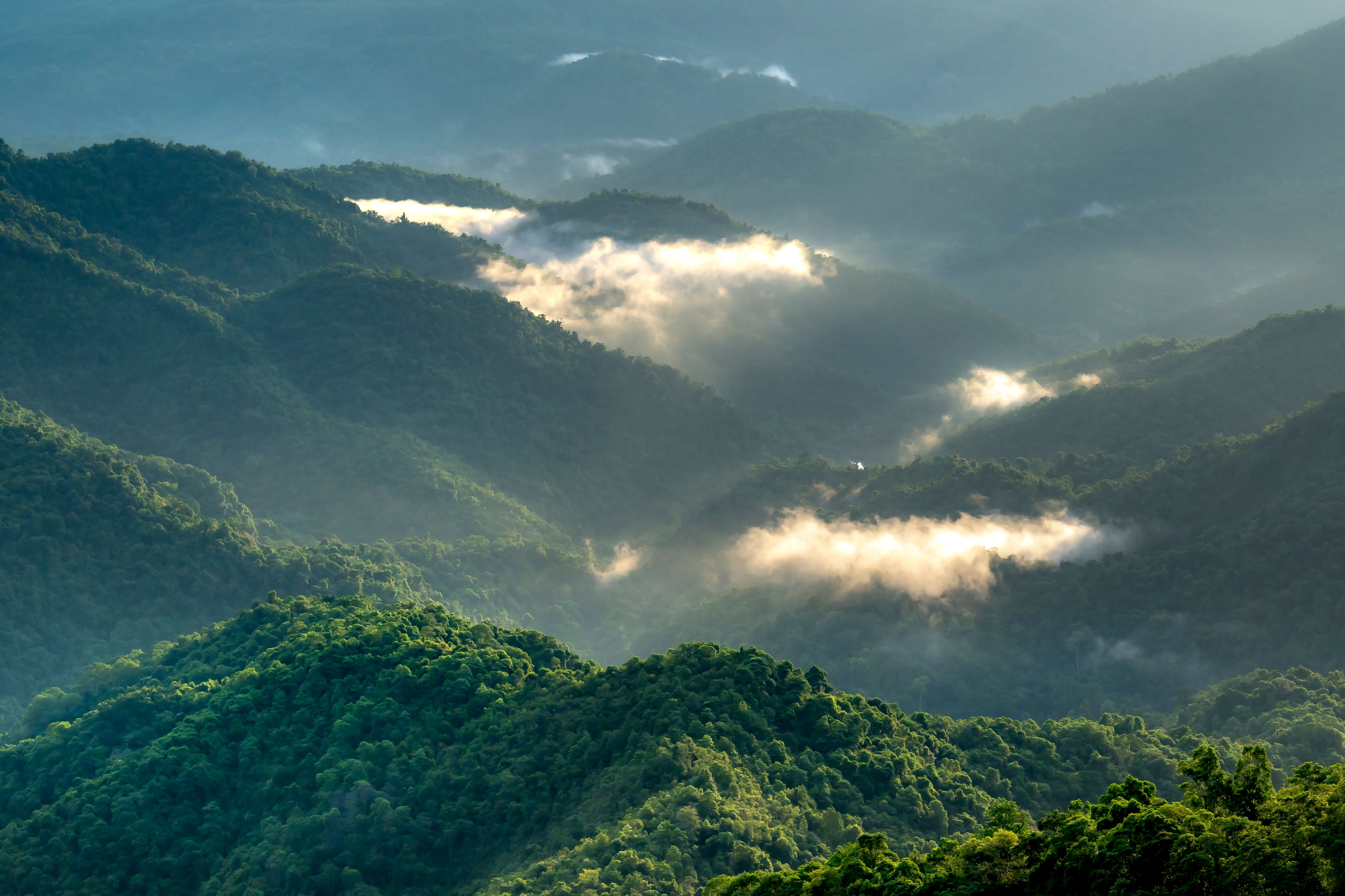 Aerial View of Green Mountains · Free Stock Photo
