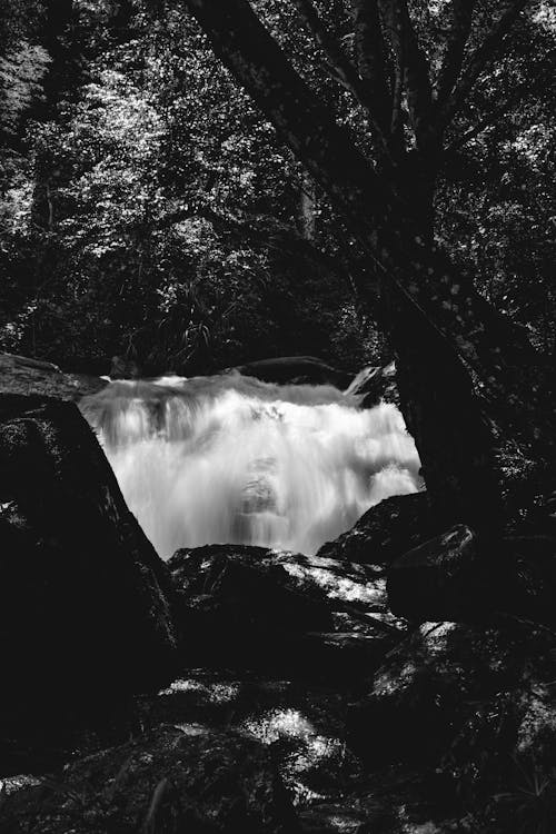 Ilmainen kuvapankkikuva tunnisteilla bnw, chiang mai, joki