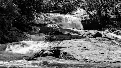 Ilmainen kuvapankkikuva tunnisteilla bnw, chiang mai, joki