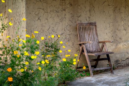 A weathered wooden chair sits against a textured wall, surrounded by bright yellow flowers.