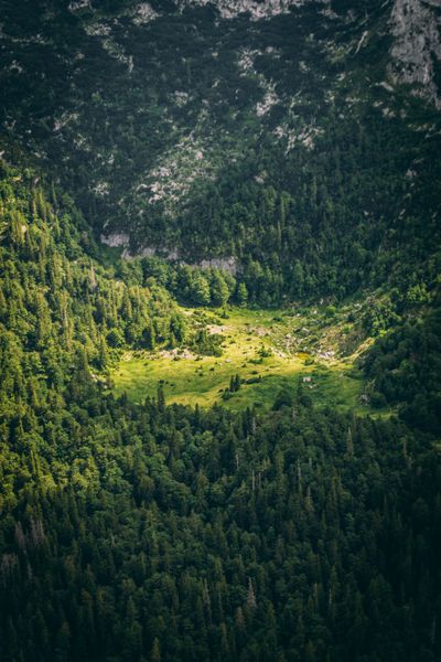 Aerial view of a green forest valley — photo by Ali Arapoğlu on Pexels