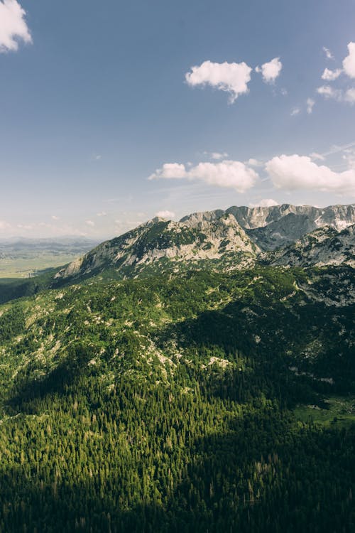 A view of the mountains and trees from above