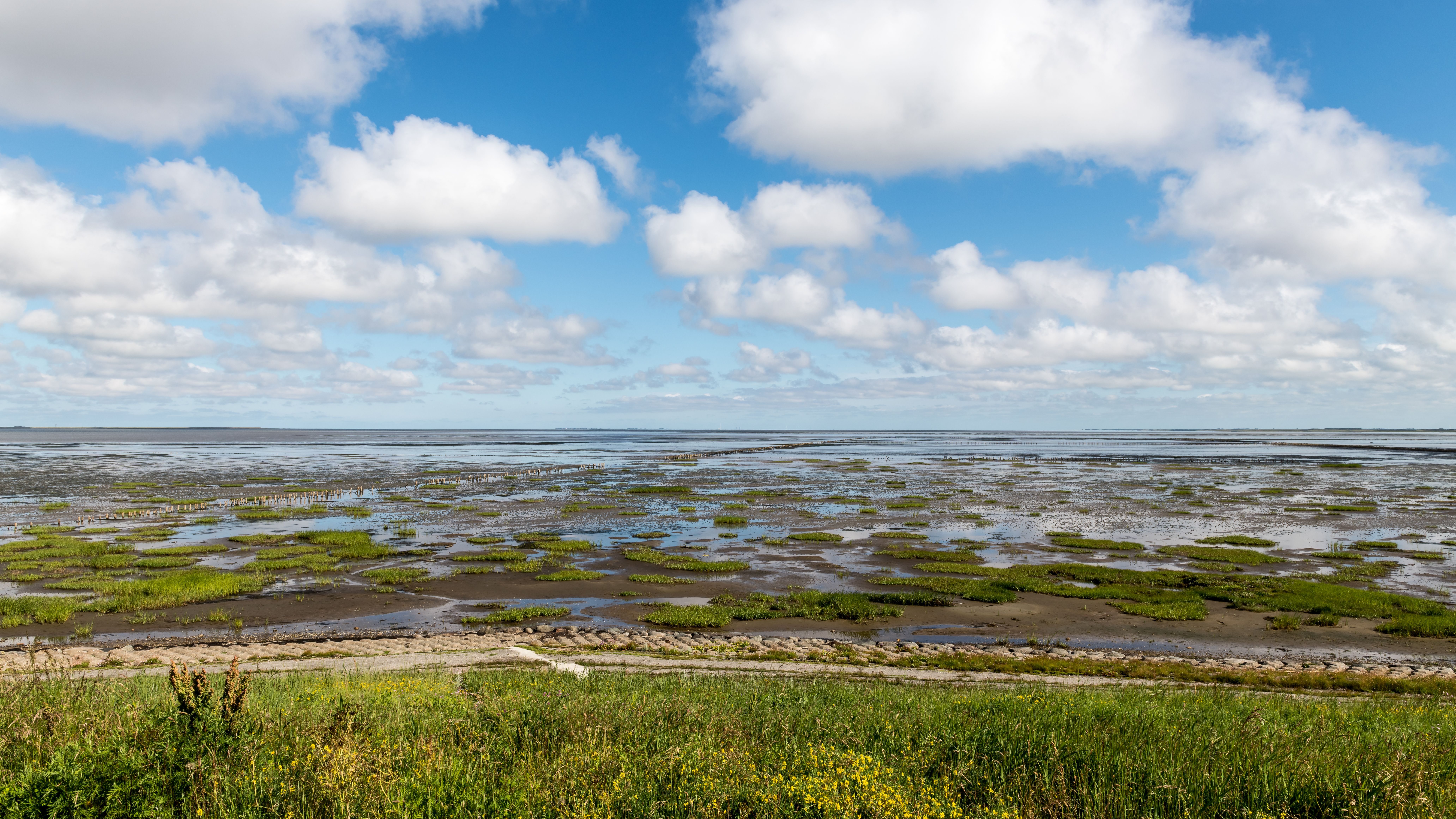 Pêche aux palourdes à l’Île de Siec : tradition bretonne et conseils pratiques pour une journée réussie