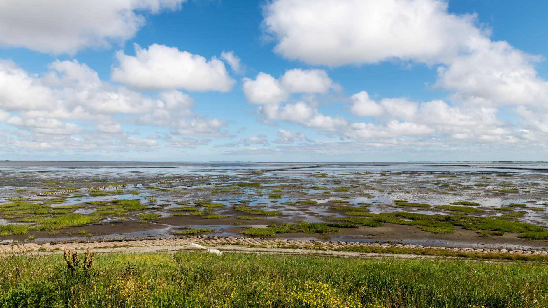 Hollanda'nın Lauwersoog kentindeki Wadden Denizi Merkezi'nin dış görünümü