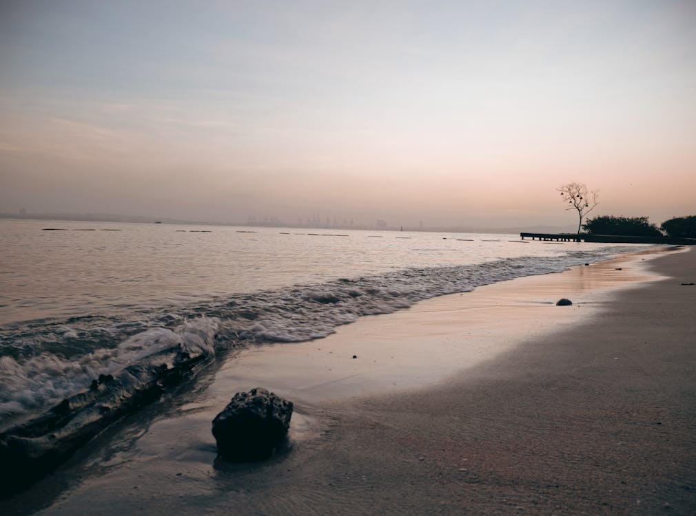 Fotos de stock gratuitas de amanecer, amante de la naturaleza, amante de la playa