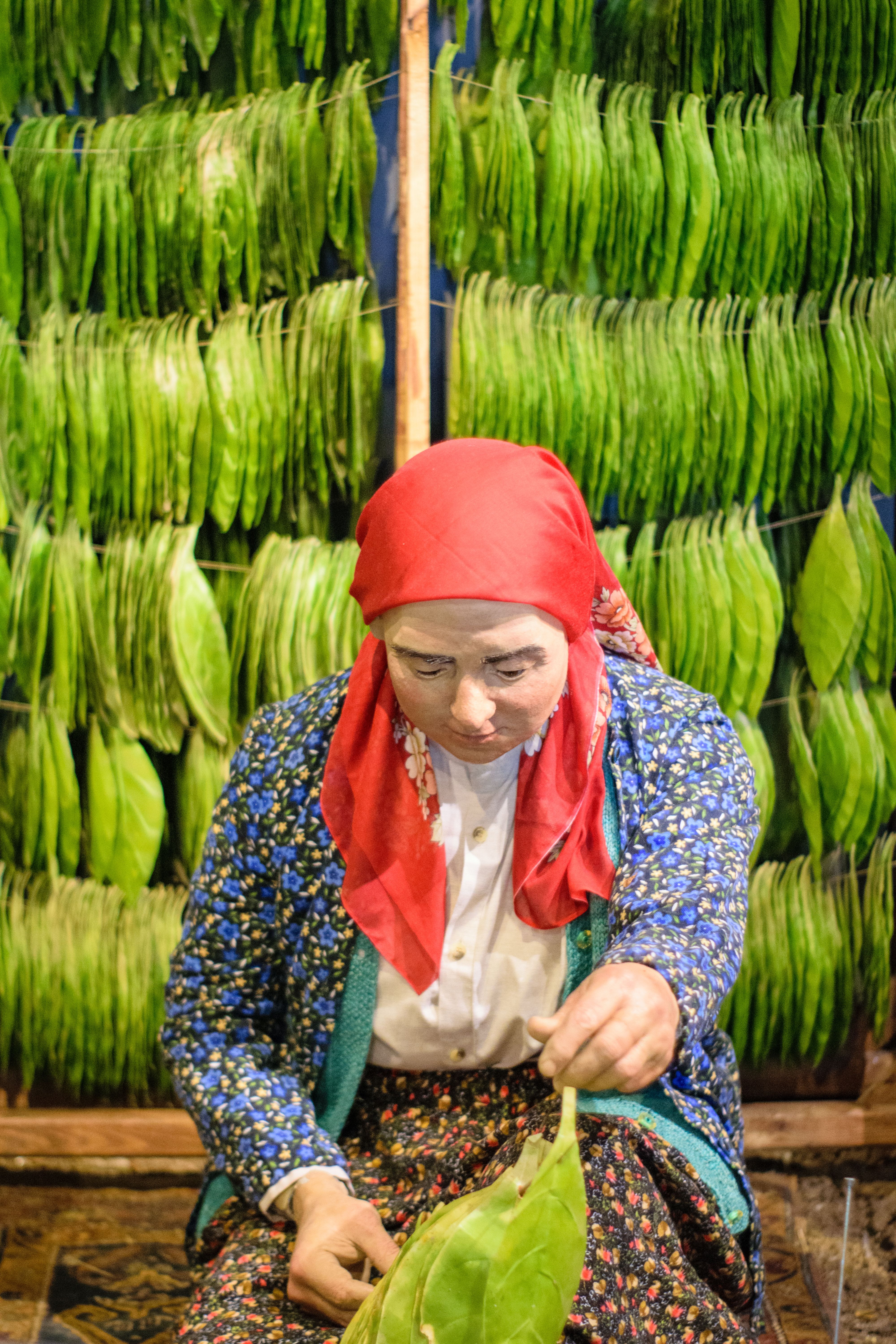 Woman preparing leaves with traditional drying method in rural setting.