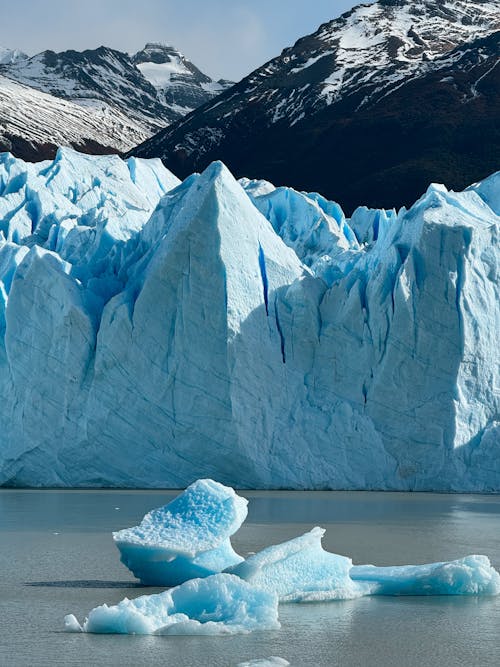 Fotos de stock gratuitas de agua, antártico, calentamiento global