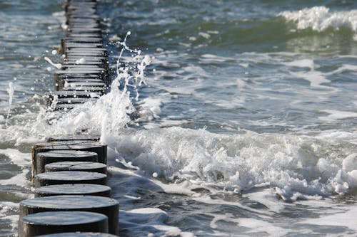 Základová fotografie zdarma na téma Baltské moře, groynes, mávání