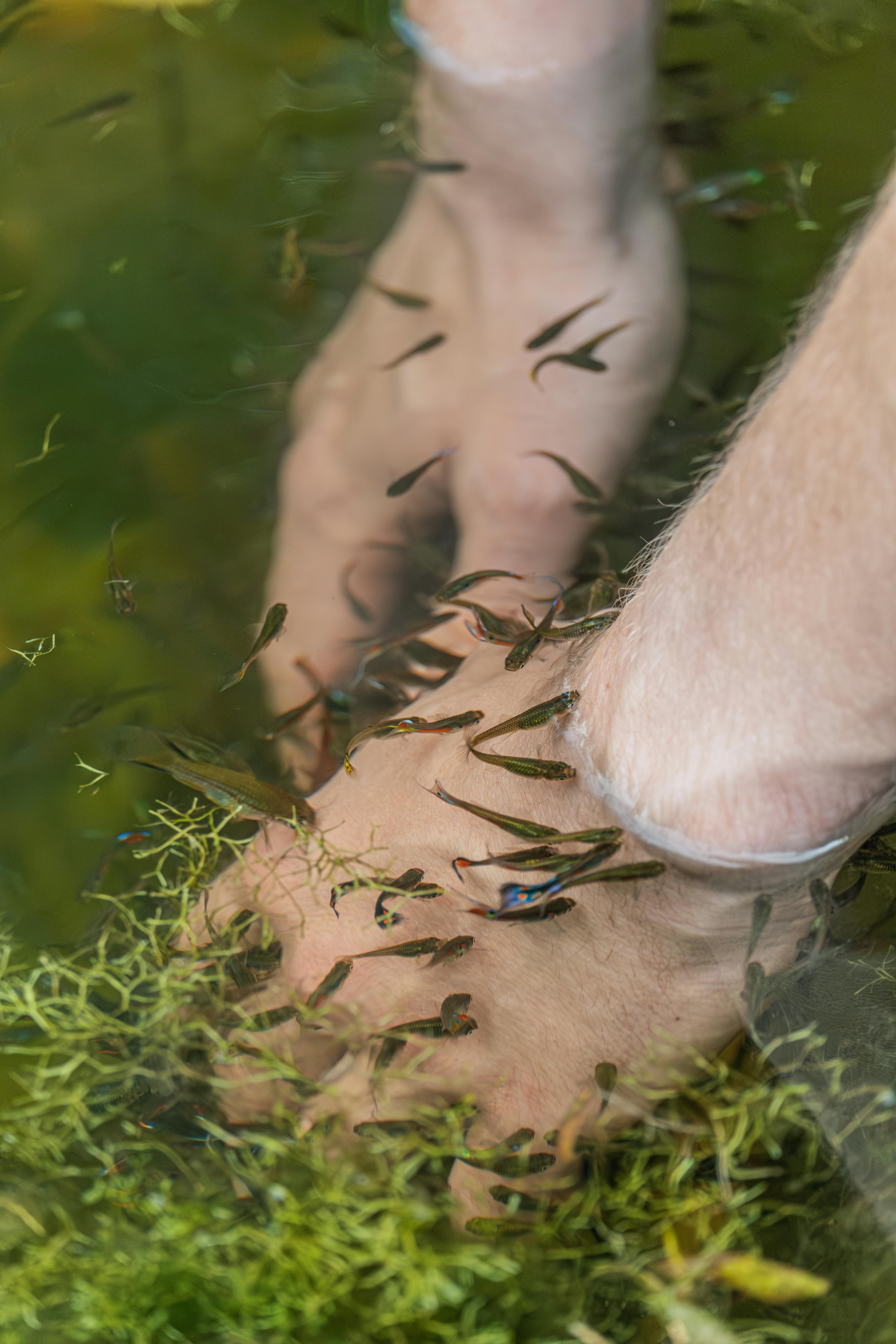 Revitalizing Joints through the Therapeutic Effects of Water