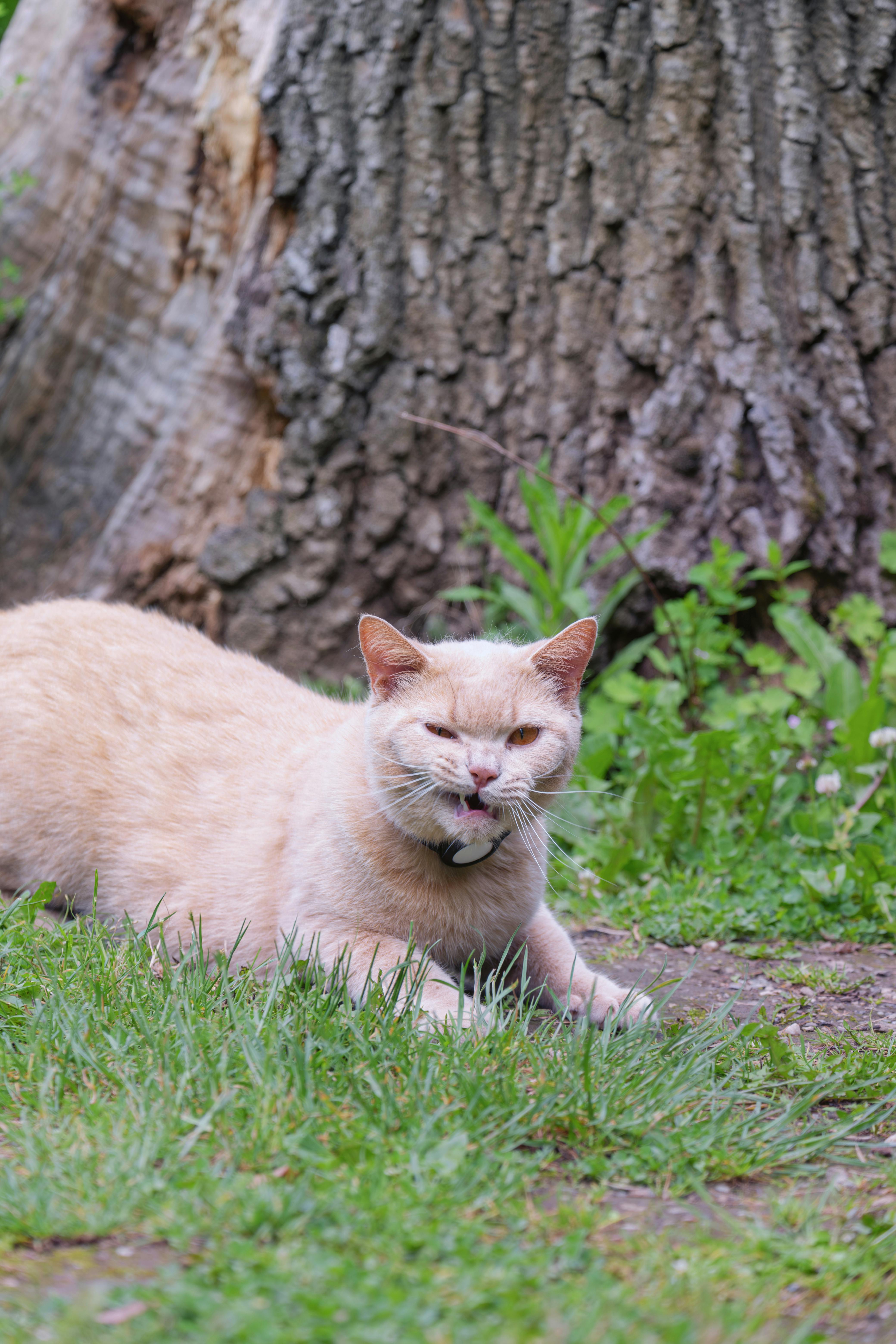 Outreach Für Internationale Märkte: Strategien Für Ihren Erfolg 4 Wie Sie kulturelle Unterschiede im Outreach für internationale Märkte meistern