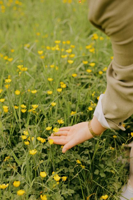 A hand gently touches yellow wildflowers in a lush, green meadow, symbolizing a connection with nature.
