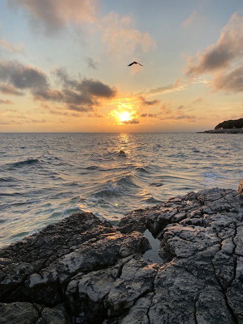 Fotobanka s bezplatnými fotkami na tému cestovať, Chorvátsko, Európa